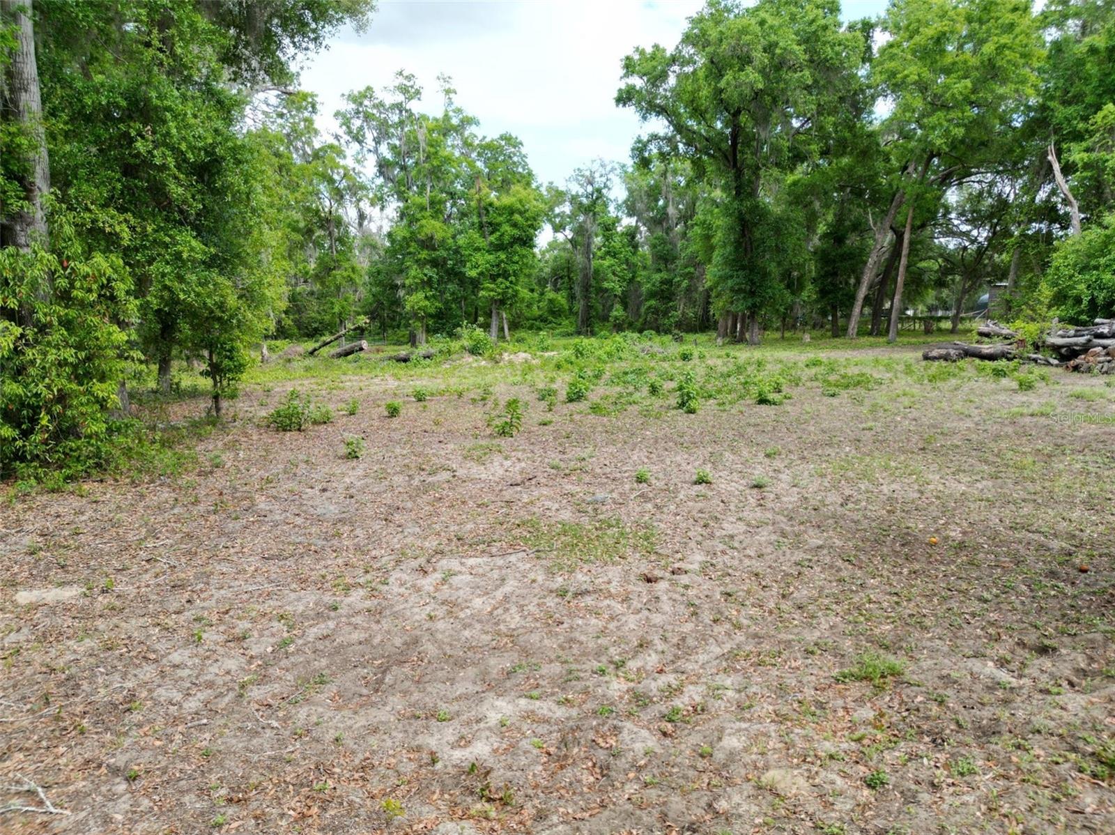 0000 SE 119 ST, BELLEVIEW, FL — photo 4