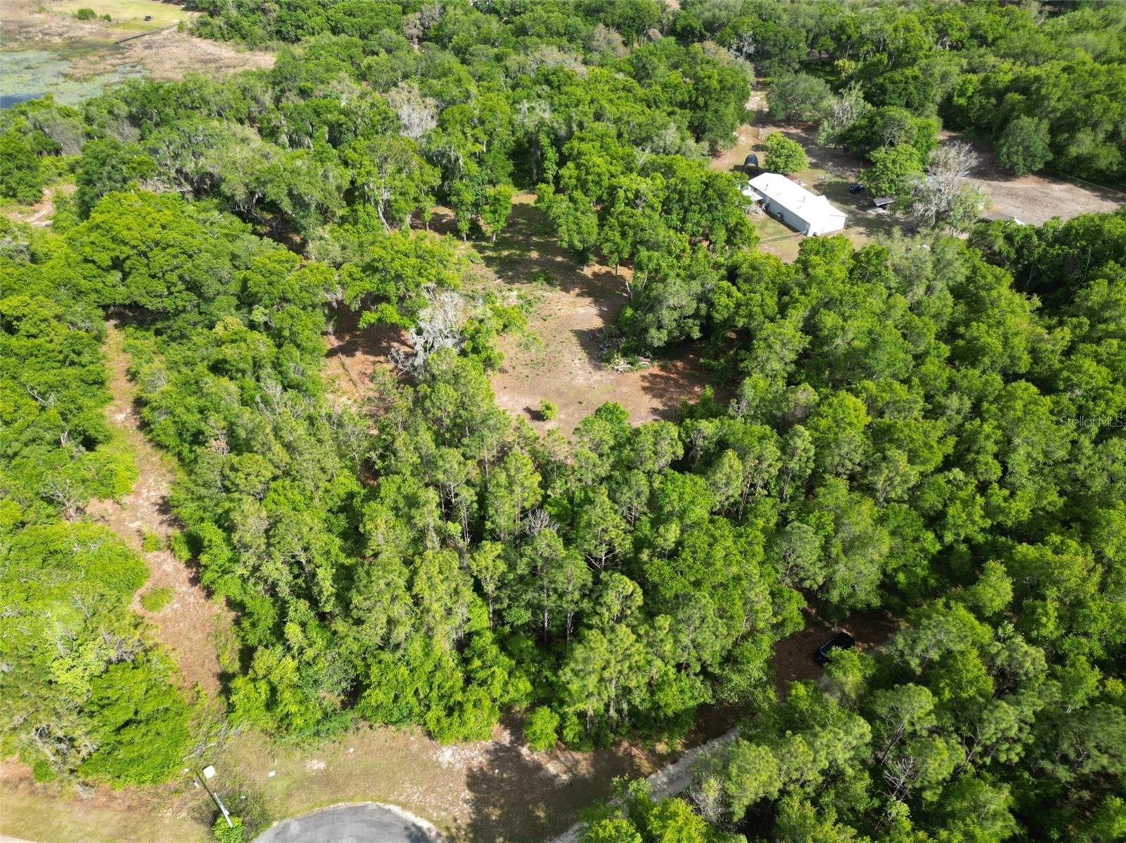 0000 SE 119 ST, BELLEVIEW, FL — photo 7