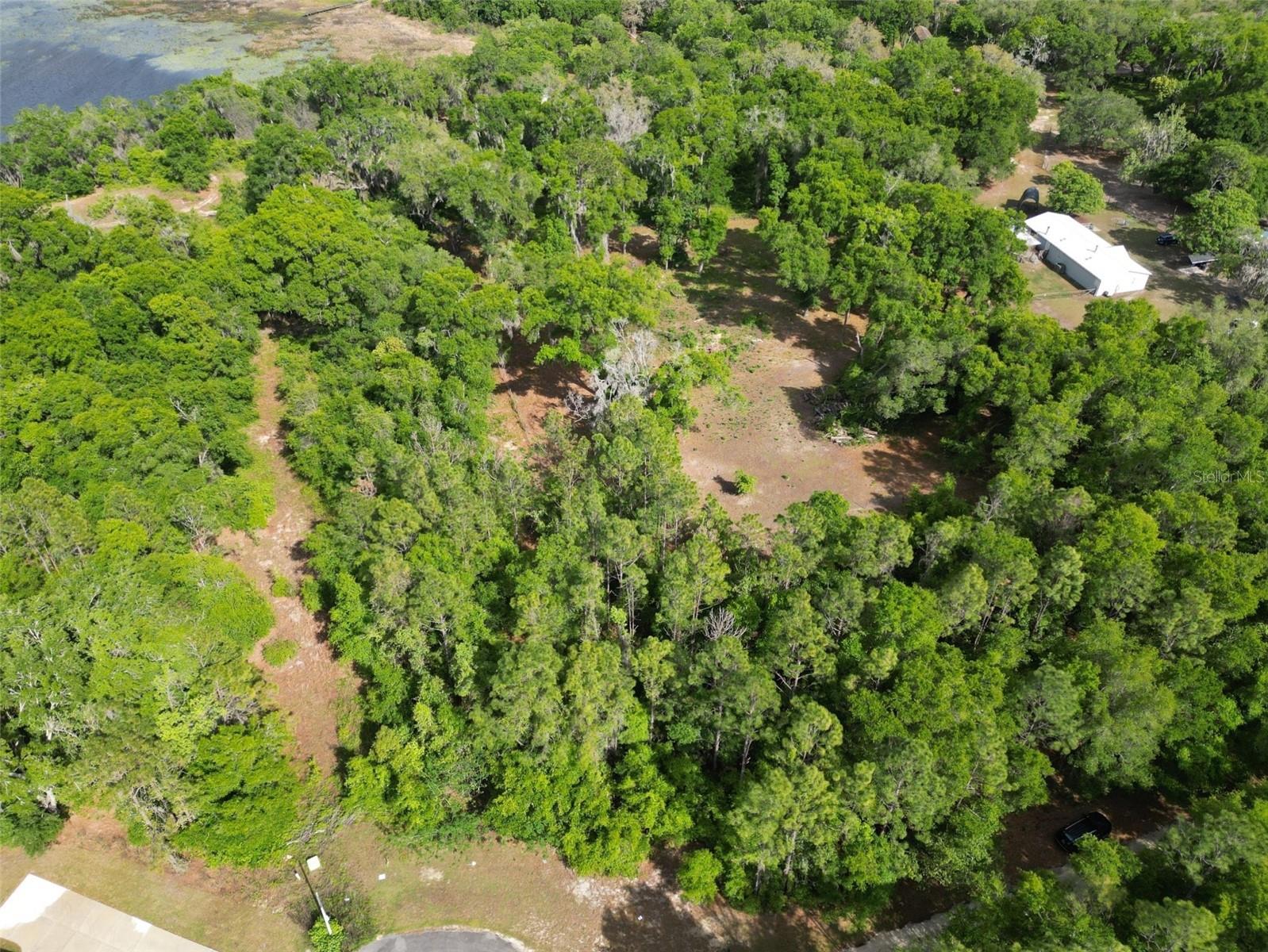 0000 SE 119 ST, BELLEVIEW, FL — photo 8