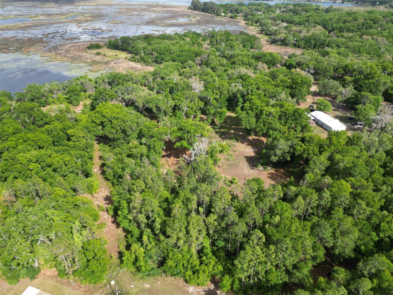 0000 SE 119 ST, BELLEVIEW, FL — photo 9