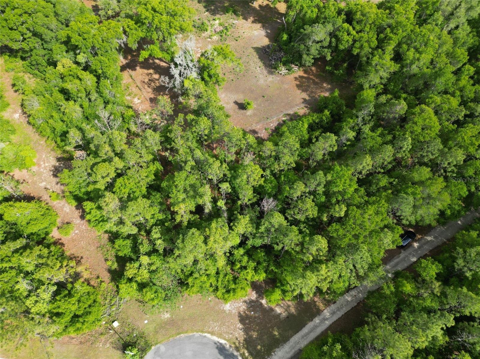 0000 SE 119 ST, BELLEVIEW, FL — photo 10