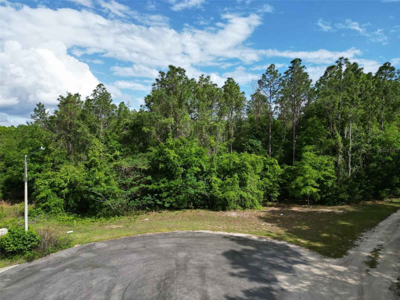 0000 SE 119 ST, BELLEVIEW, FL — photo 11