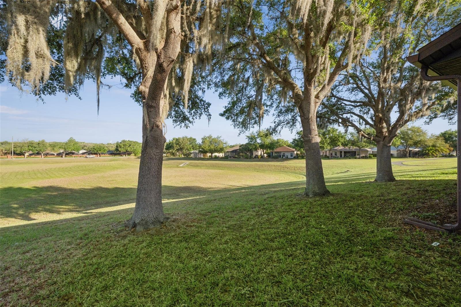 3292 SEVEN SEAS DR, TAVARES, FL — photo 45