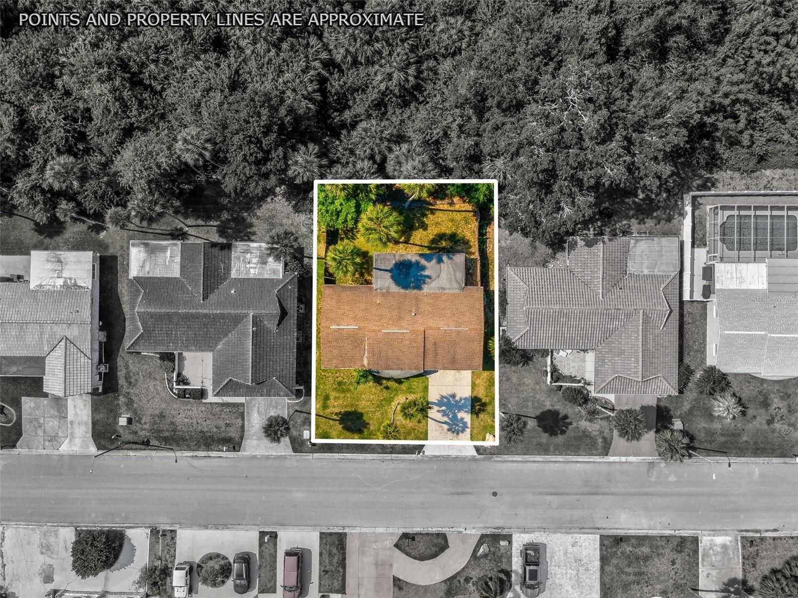 4408 RUDDER WAY, NEW PORT RICHEY, FL — photo 2