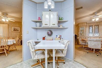 35151 COLONY HILLS DR, ZEPHYRHILLS, FL — photo 22