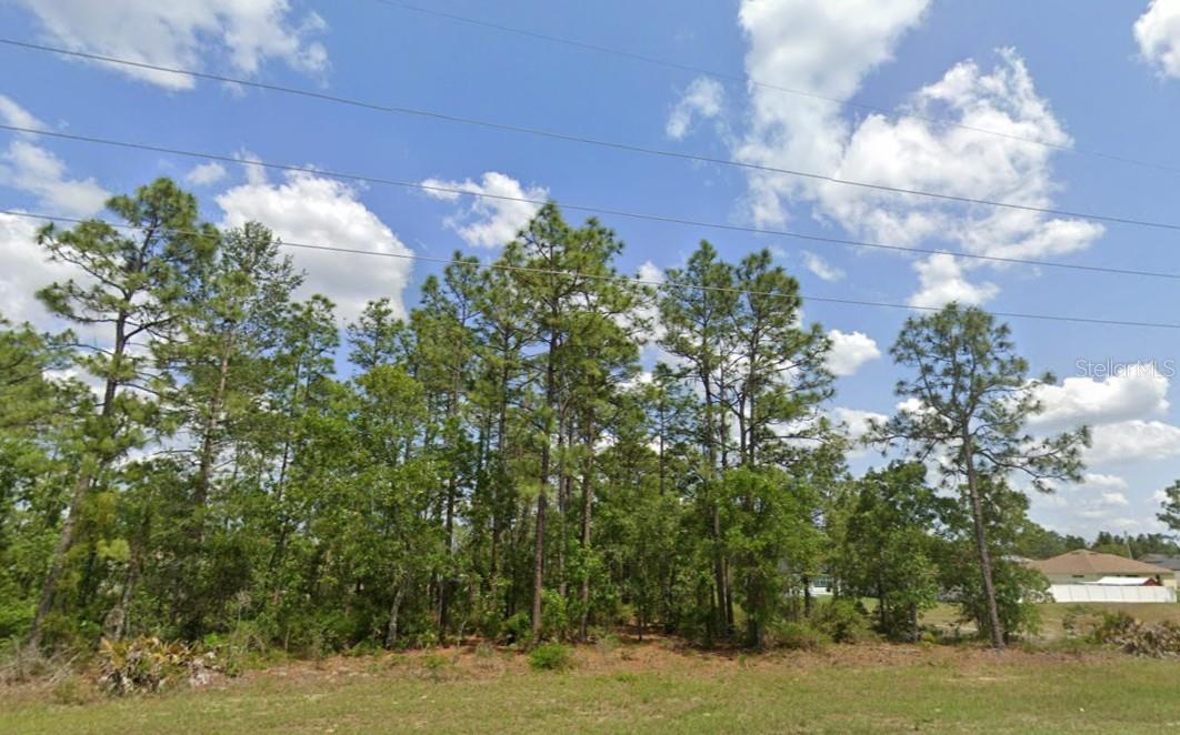 SW 484 HWY #Lot 6, OCALA, FL — photo 2