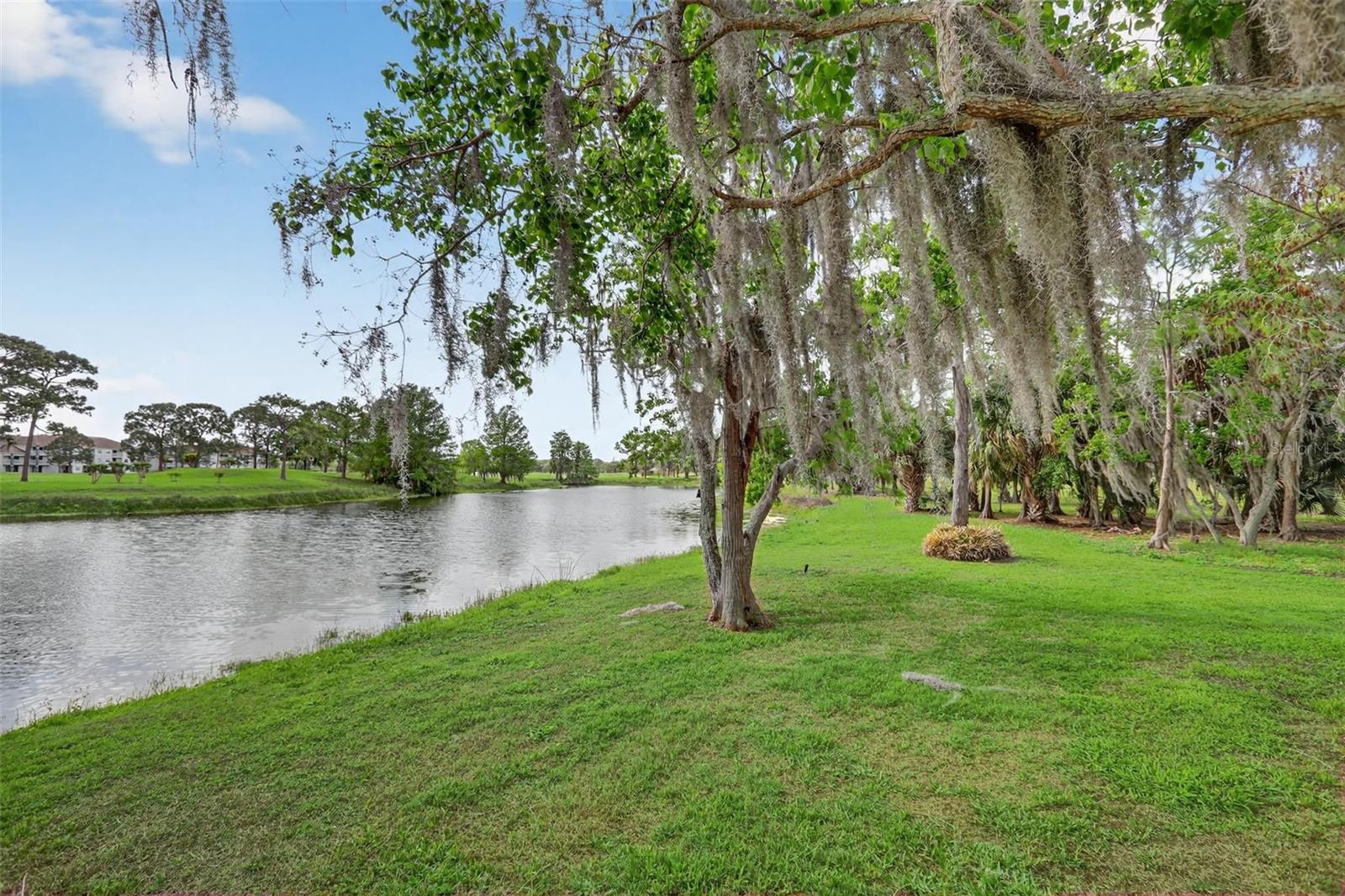 2809 RUNYON CIR, ORLANDO, FL — photo 47