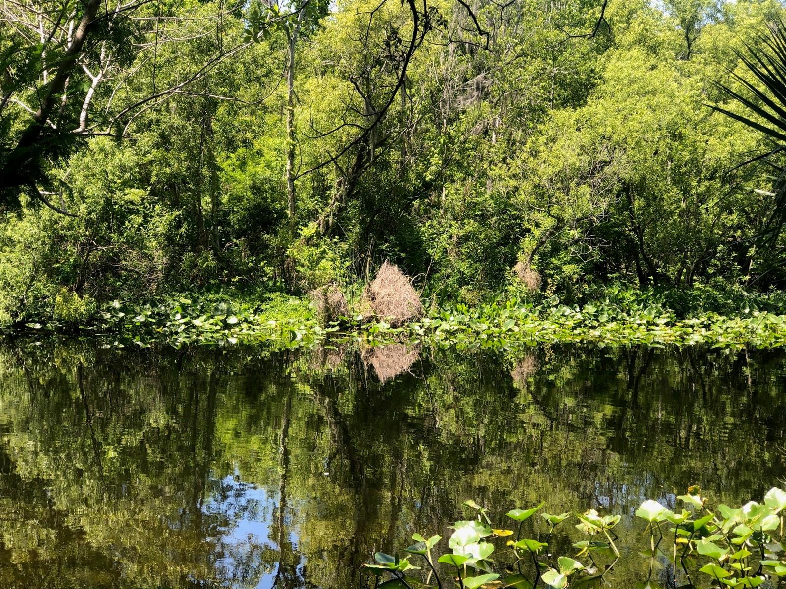 241 NOVA DR, SANFORD, FL