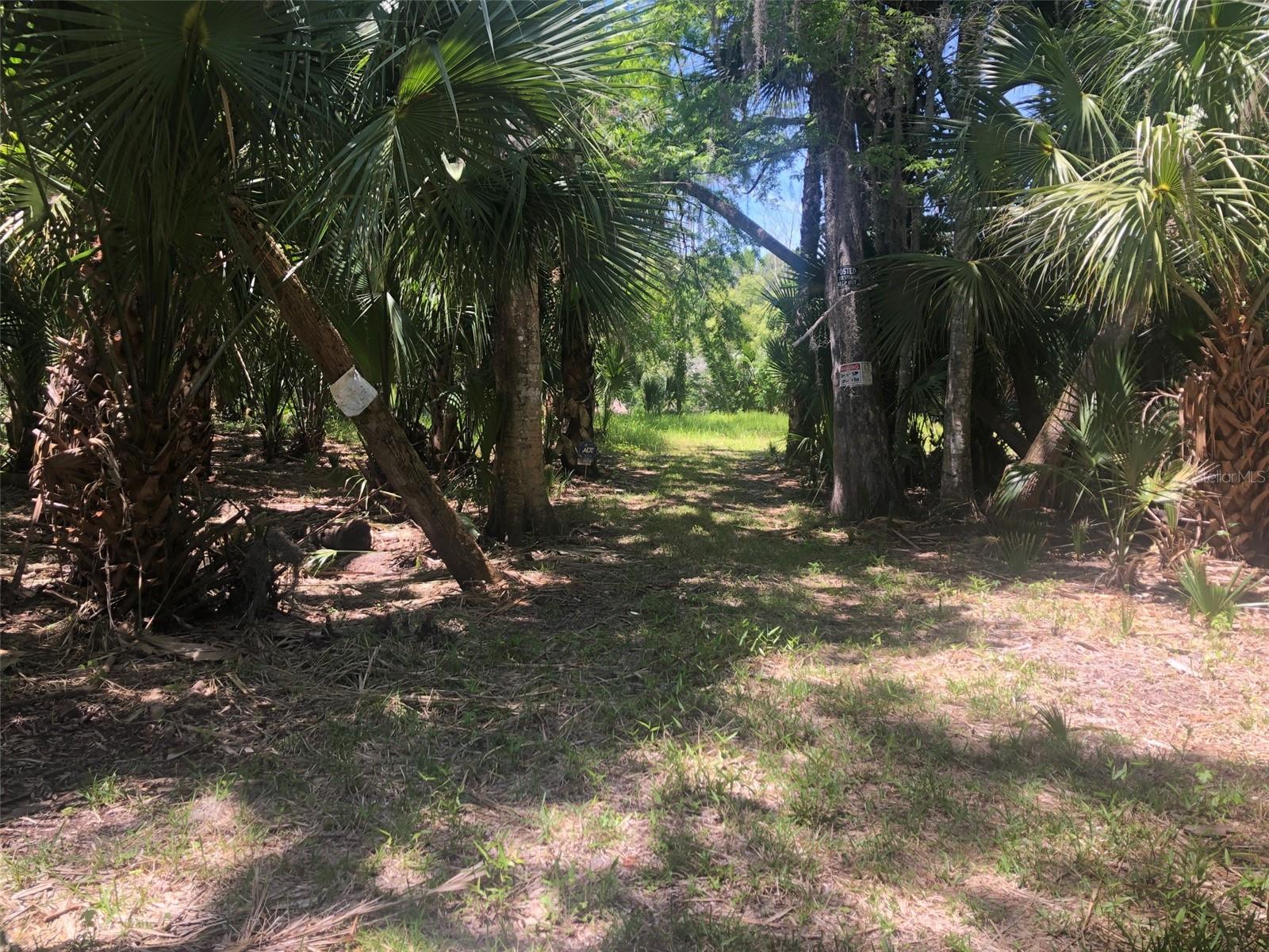 241 NOVA DR, SANFORD, FL — photo 4