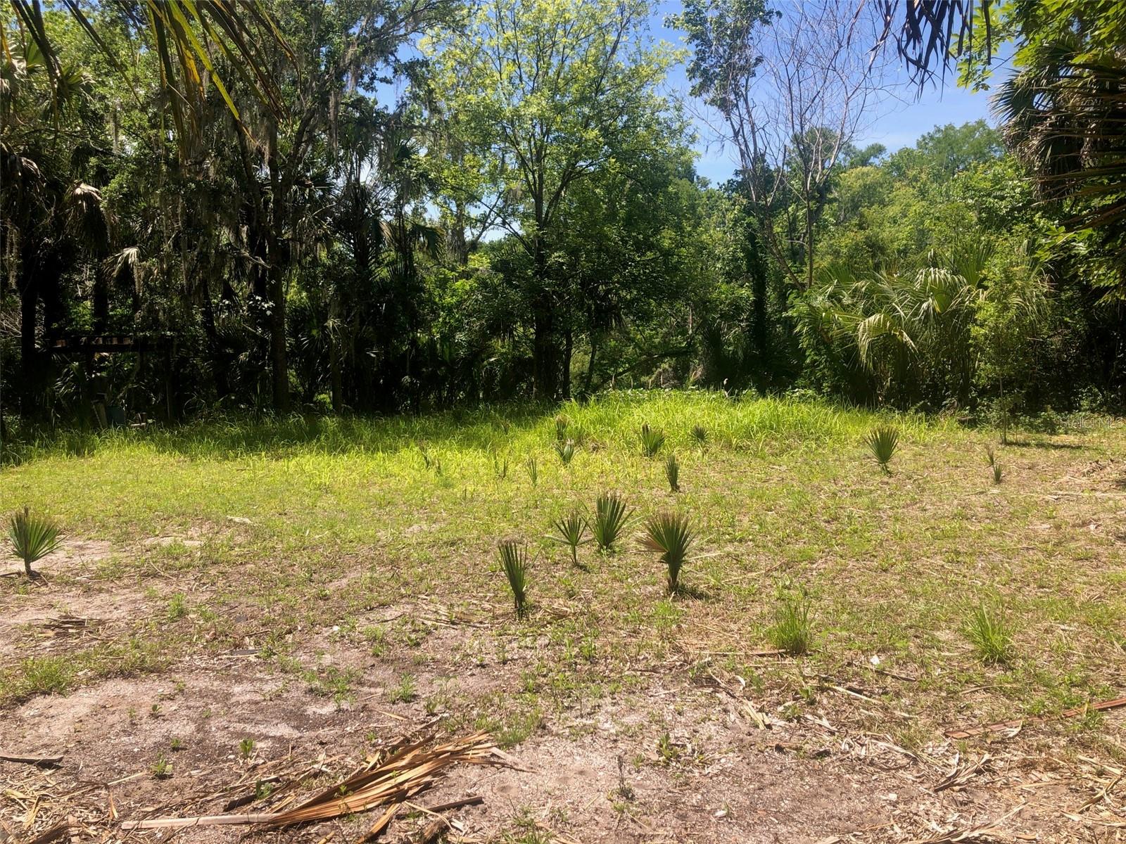 241 NOVA DR, SANFORD, FL — photo 5