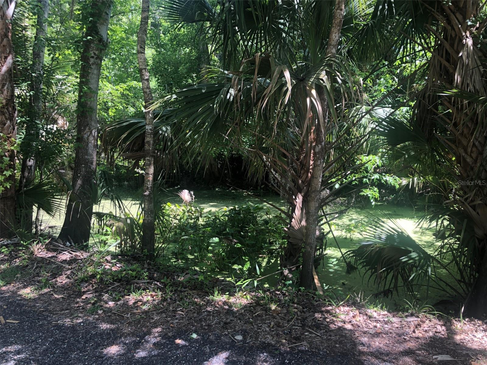 241 NOVA DR, SANFORD, FL — photo 7