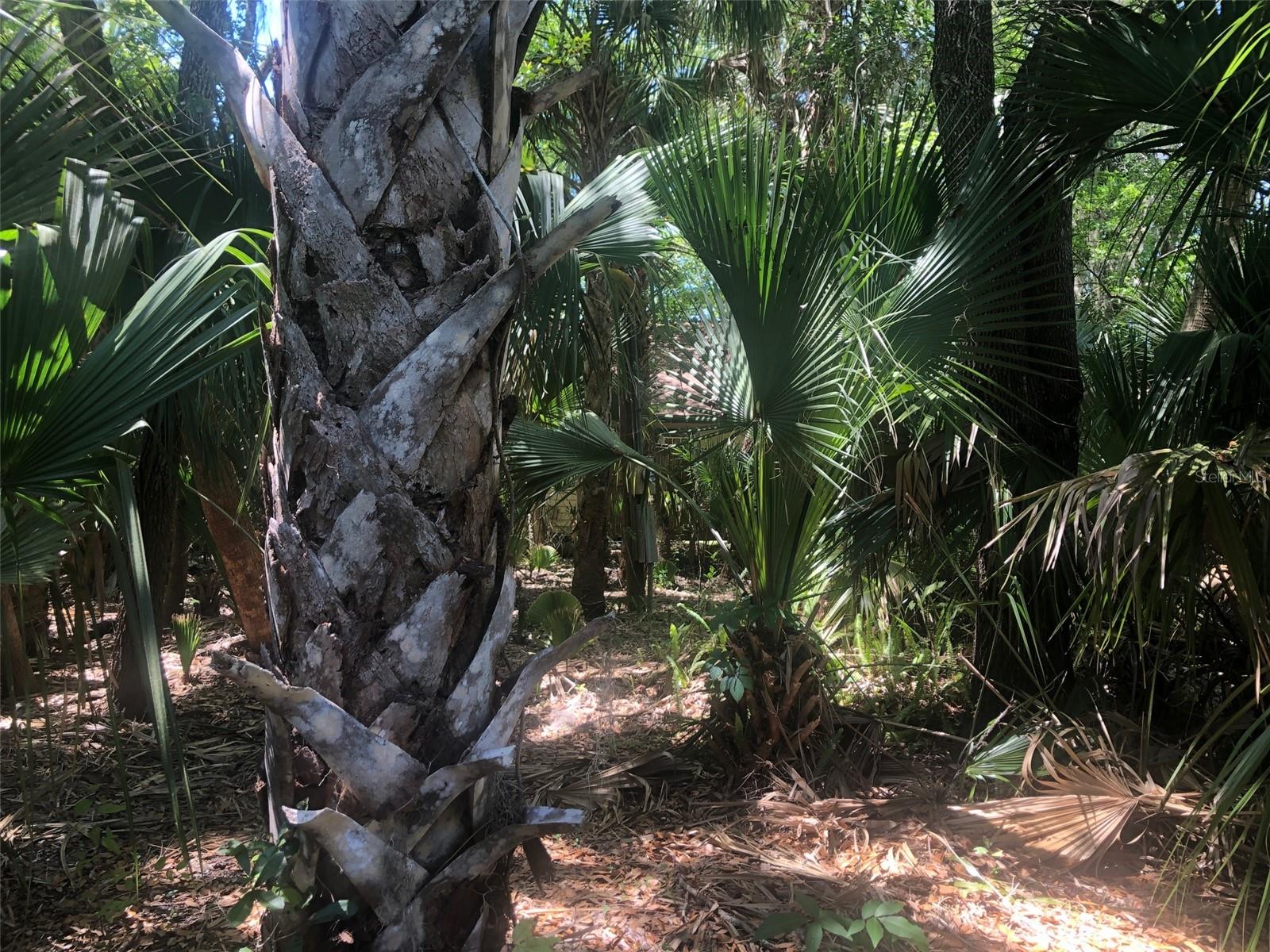241 NOVA DR, SANFORD, FL — photo 9