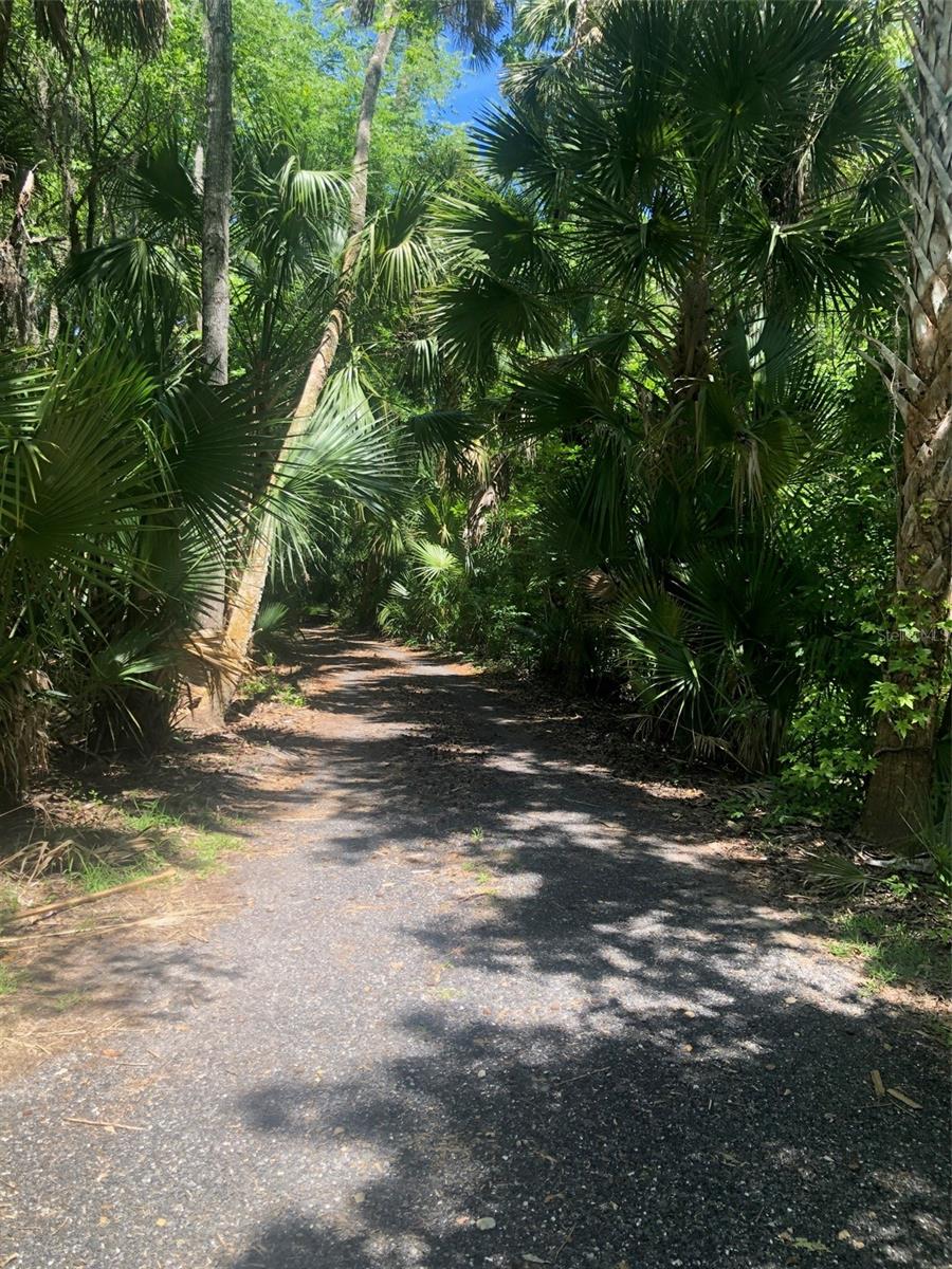 241 NOVA DR, SANFORD, FL — photo 13