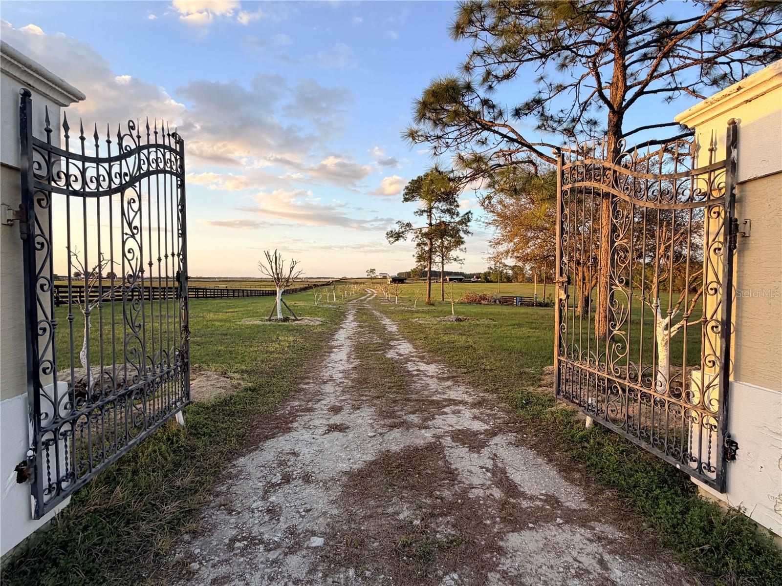12451 NE 20TH ST, WILLISTON, FL — photo 9