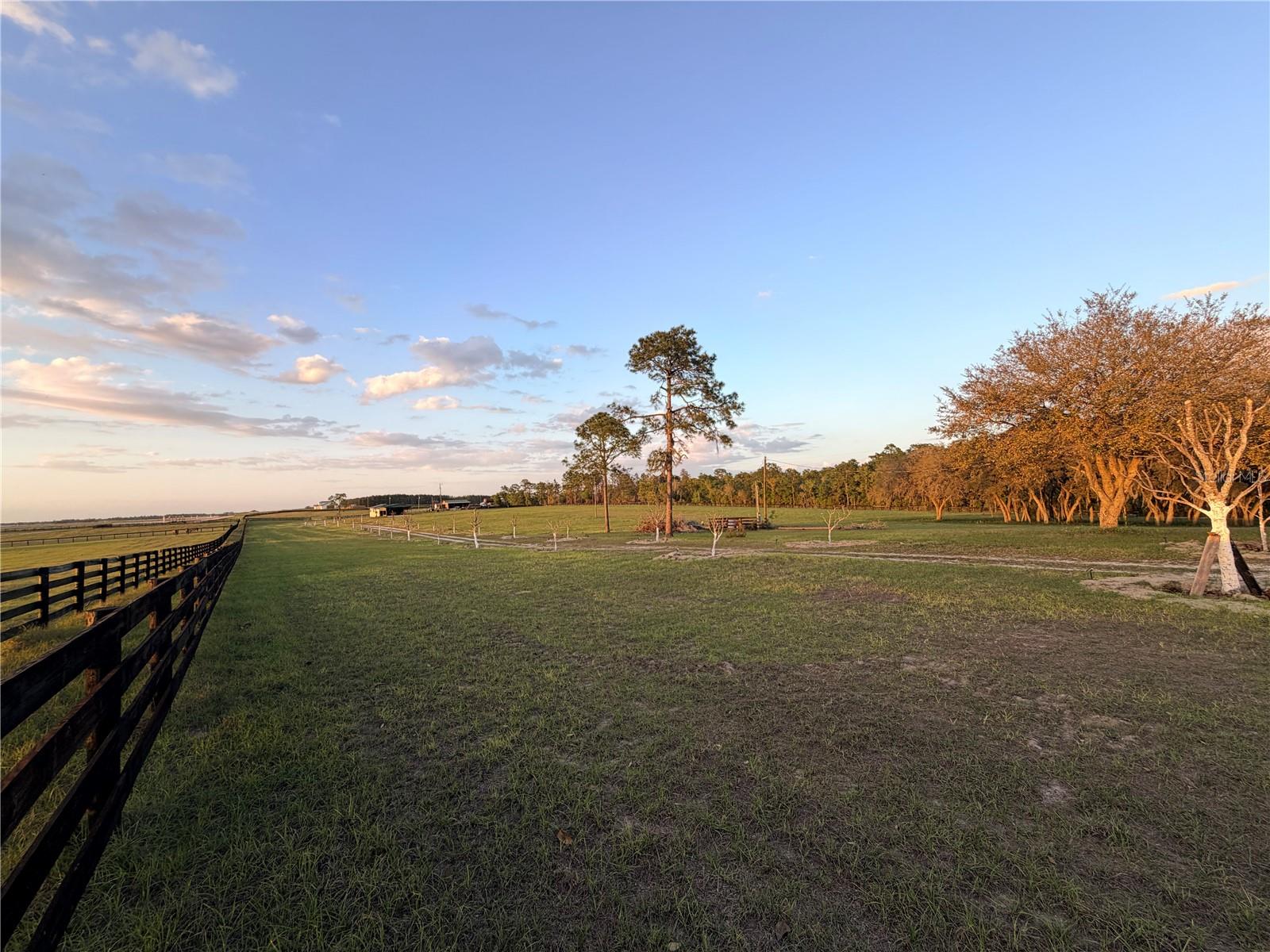 12451 NE 20TH ST, WILLISTON, FL — photo 8
