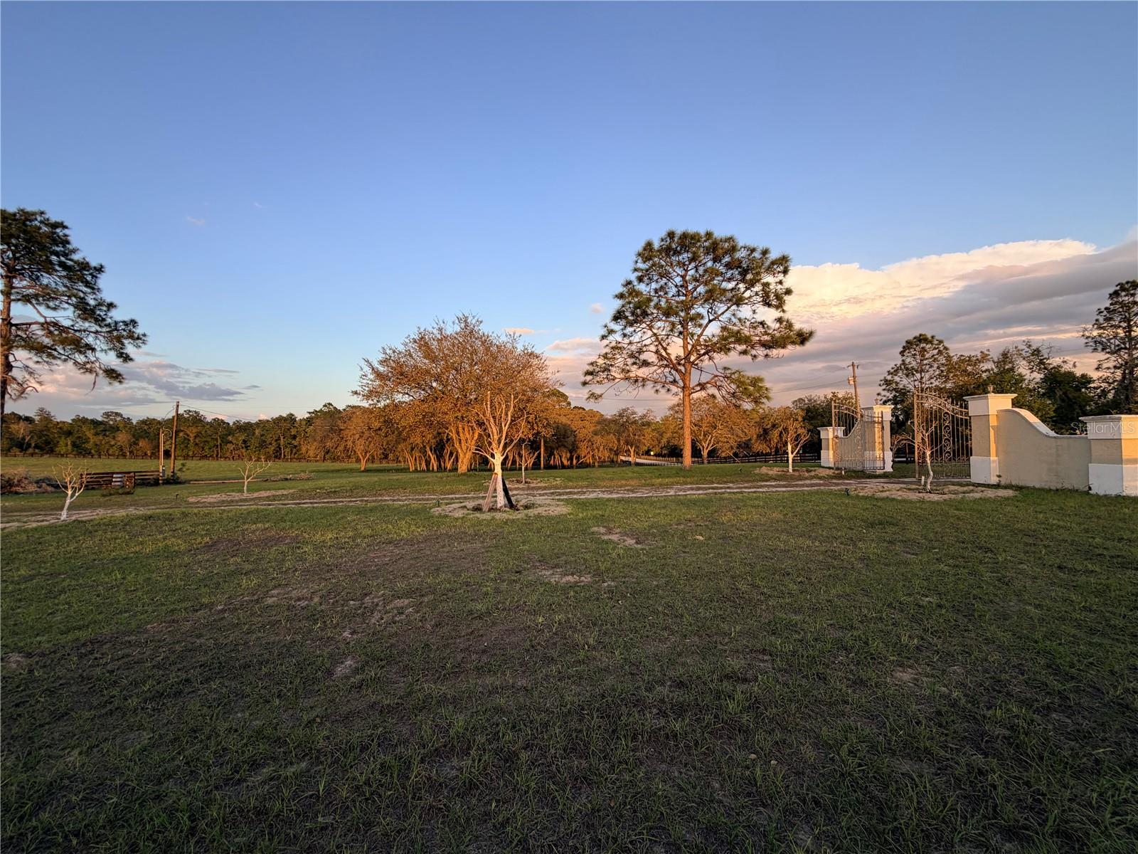 12451 NE 20TH ST, WILLISTON, FL — photo 11