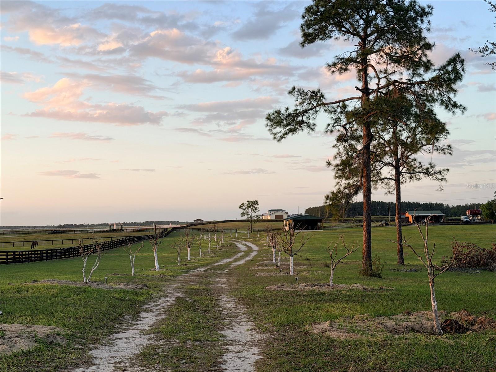 12451 NE 20TH ST, WILLISTON, FL — photo 13