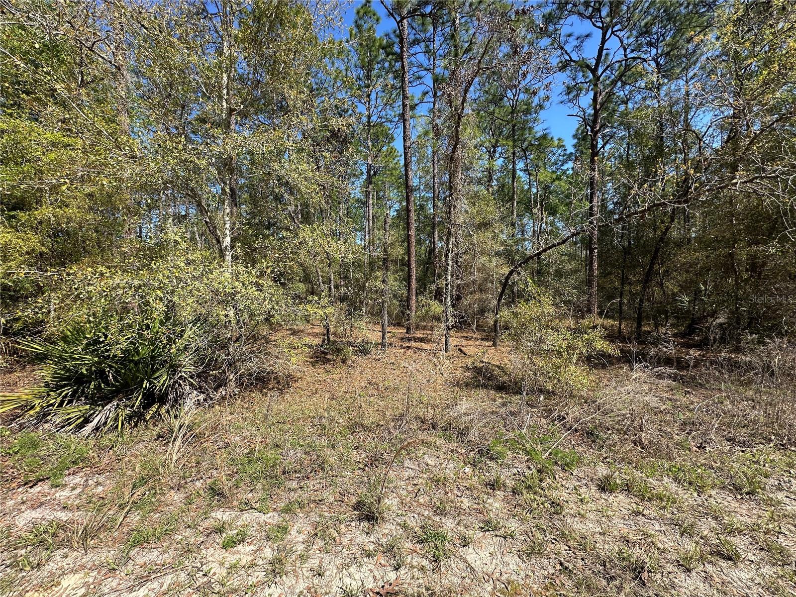 TBD SW 29TH ST, OCALA, FL