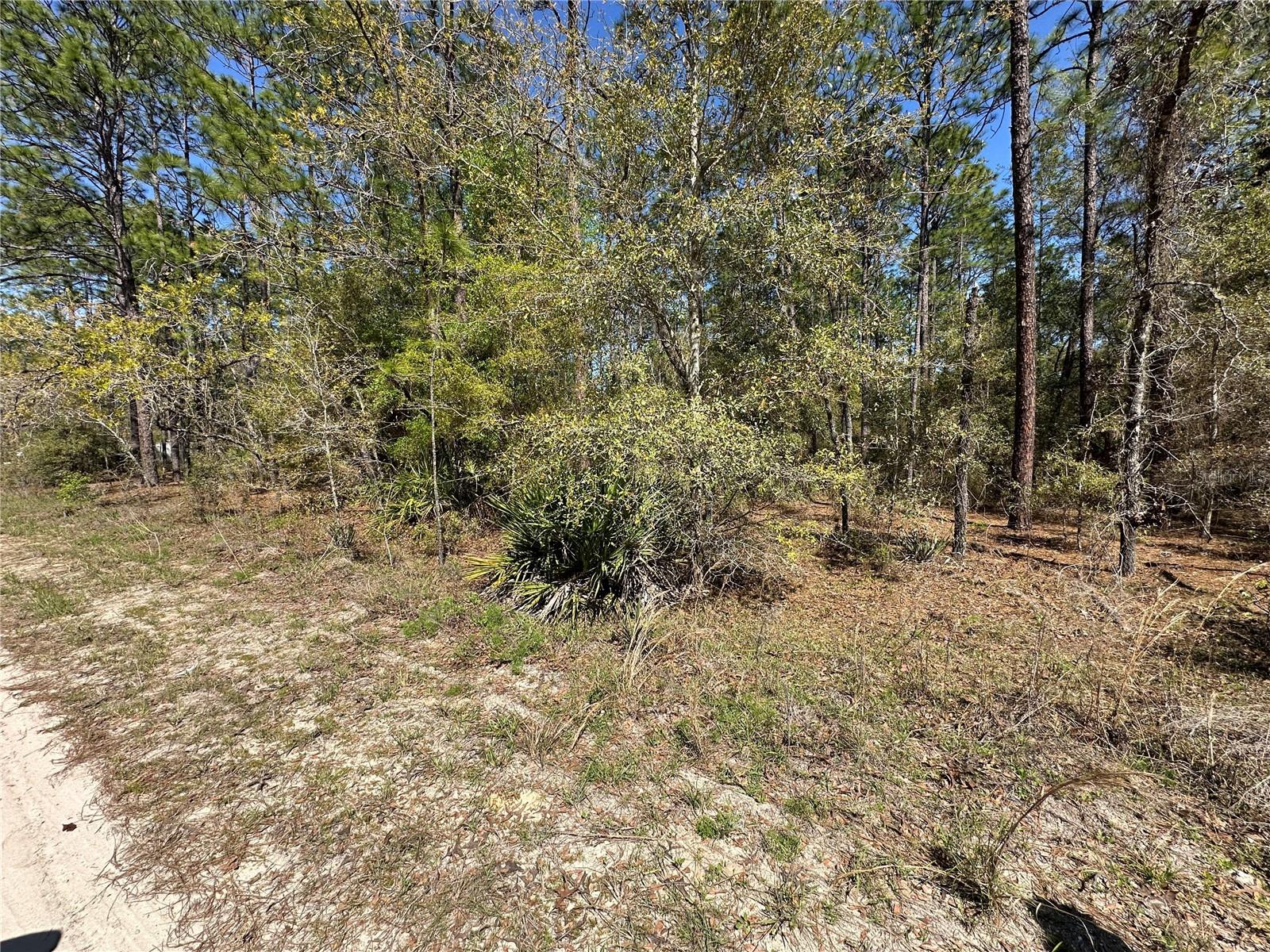 TBD SW 29TH ST, OCALA, FL — photo 3