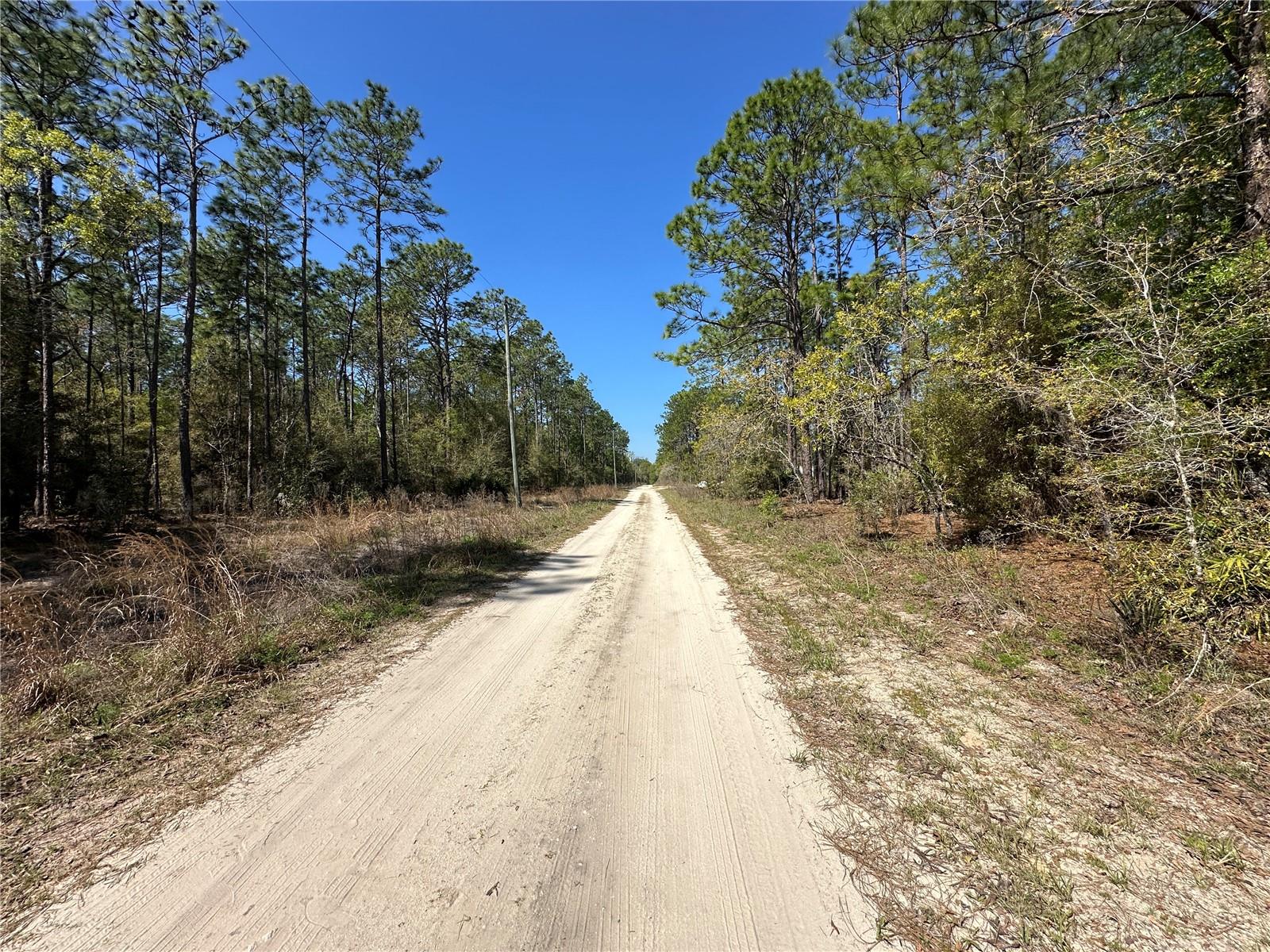 TBD SW 29TH ST, OCALA, FL — photo 4