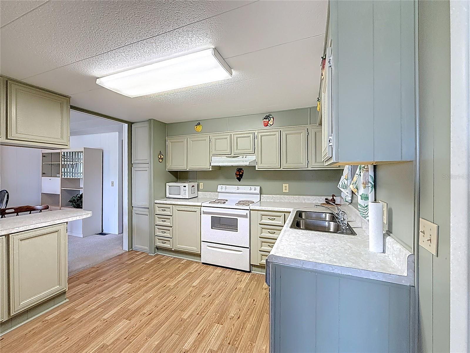 1231 ELKHART CIR, TAVARES, FL — photo 28