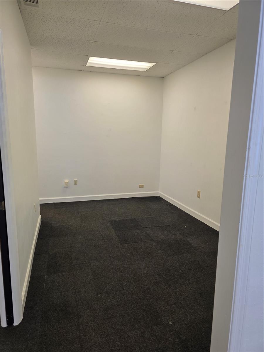 3946 LAKE PADGETT DR, LAND O LAKES, FL — photo 6