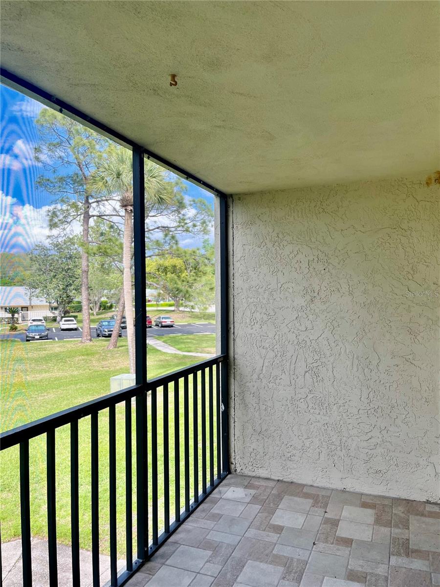 1423 PINE GLEN LN #H2, TARPON SPRINGS, FL — photo 29