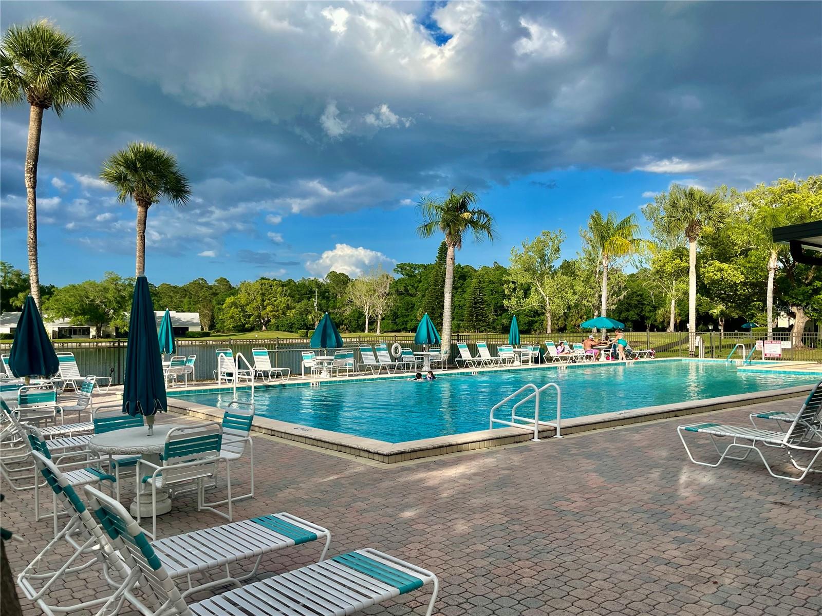 1423 PINE GLEN LN #H2, TARPON SPRINGS, FL — photo 40