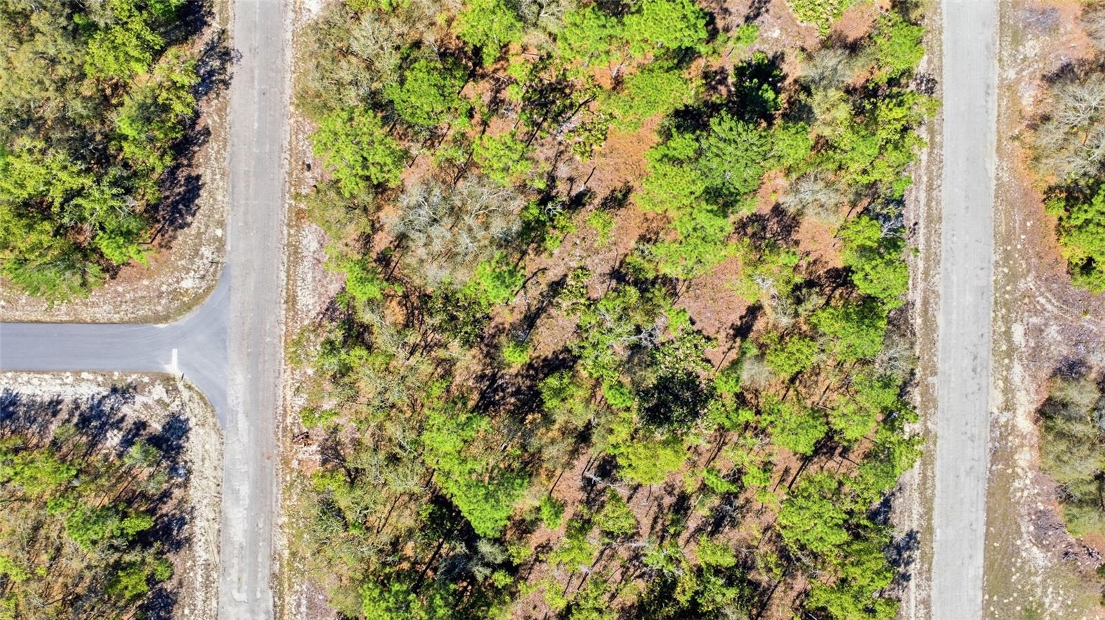 1877 W PENDLETON ST, DUNNELLON, FL — photo 2