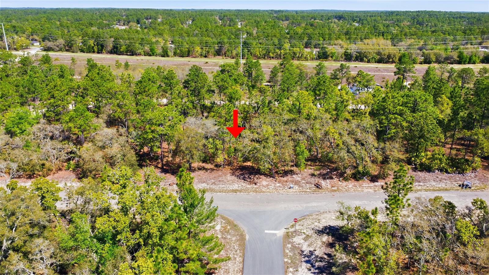 1877 W PENDLETON ST, DUNNELLON, FL — photo 4