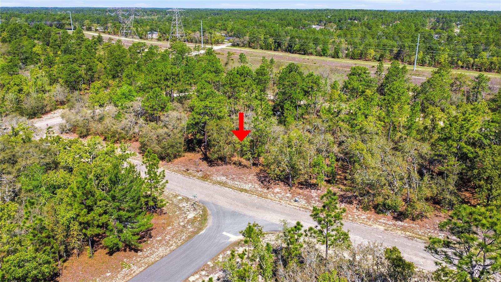1877 W PENDLETON ST, DUNNELLON, FL — photo 6