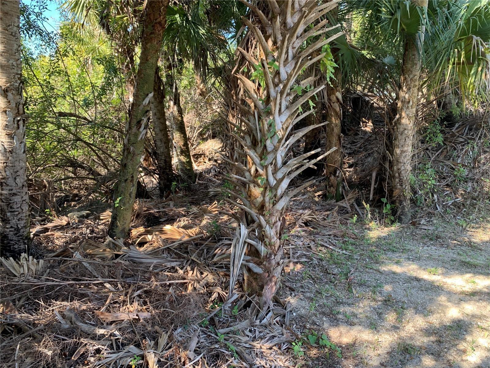 1375 CLEARVIEW DR, PORT CHARLOTTE, FL — photo 14