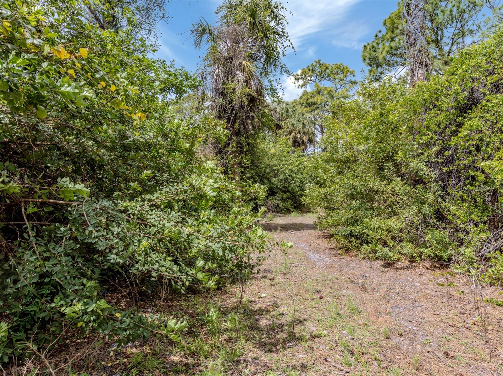 400 S HAVANA RD, VENICE, FL — photo 19