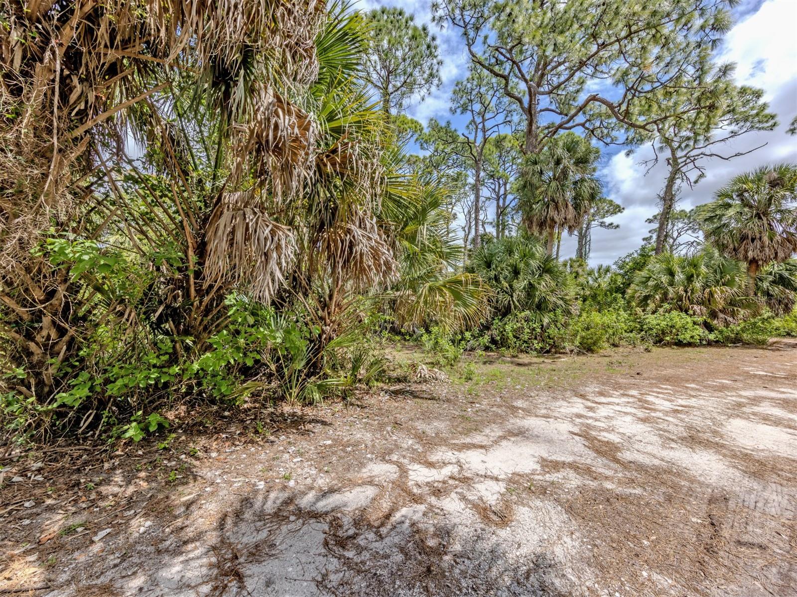 400 S HAVANA RD, VENICE, FL — photo 22