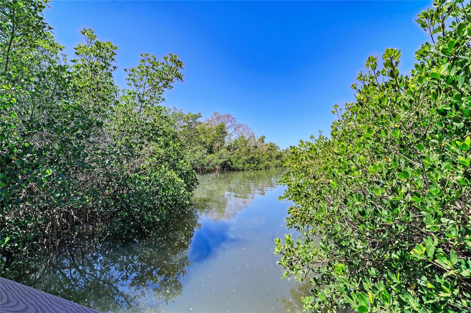 5611 US HIGHWAY 19, PALMETTO, FL — photo 8