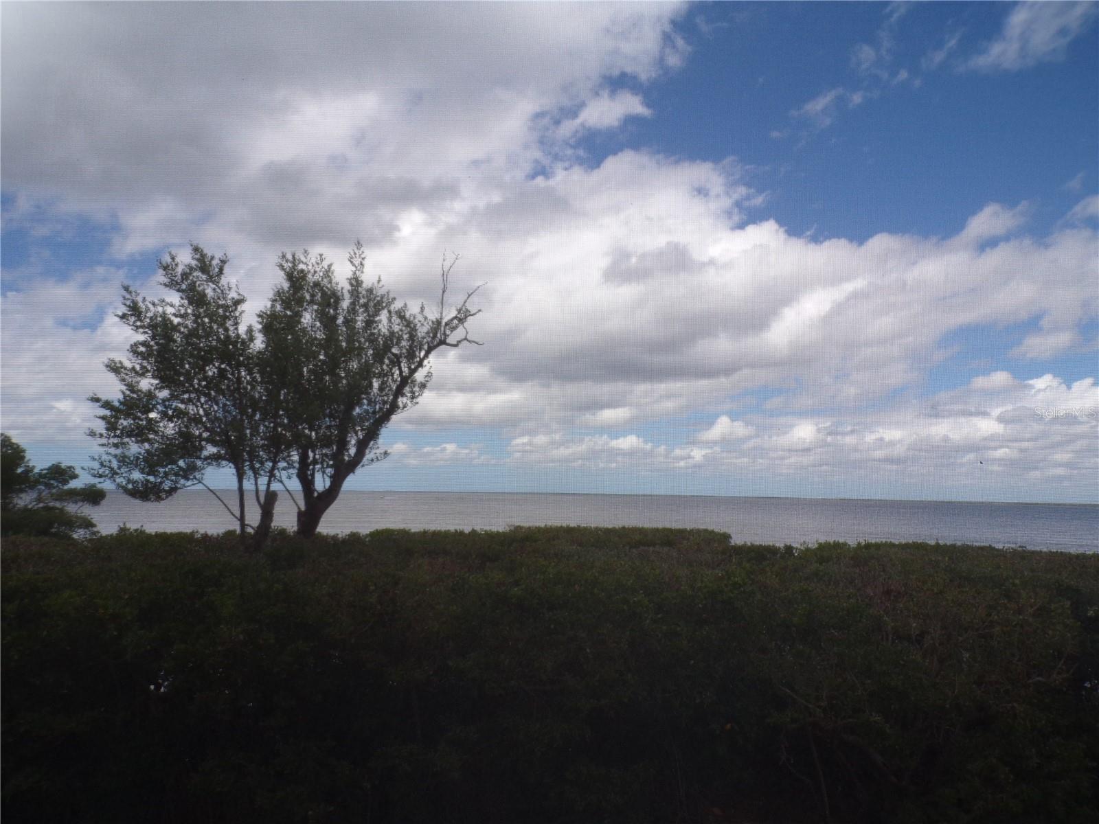 101 N MARION CT #114, PUNTA GORDA, FL — photo 5