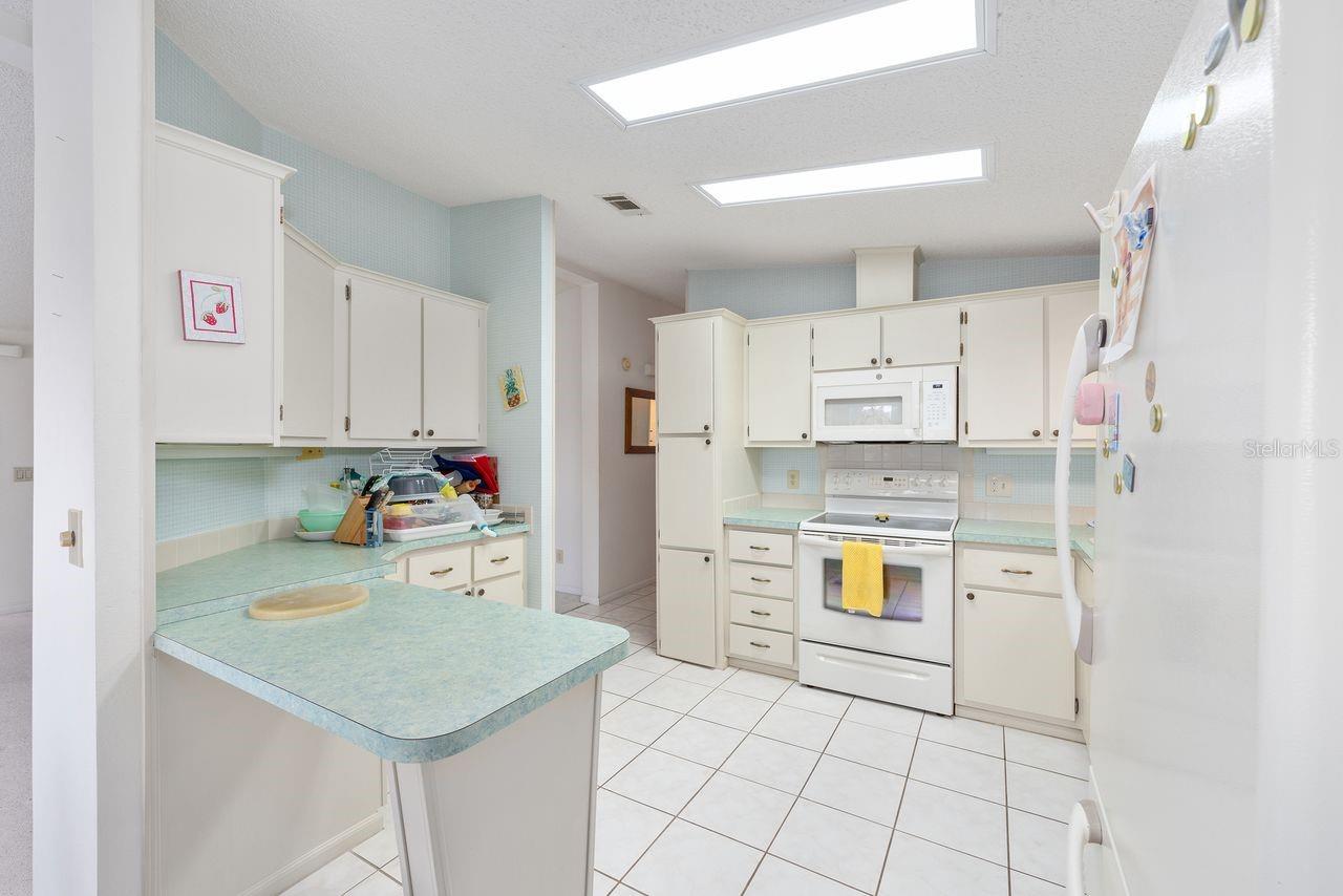 1116 W BOONE CT, LADY LAKE, FL — photo 49