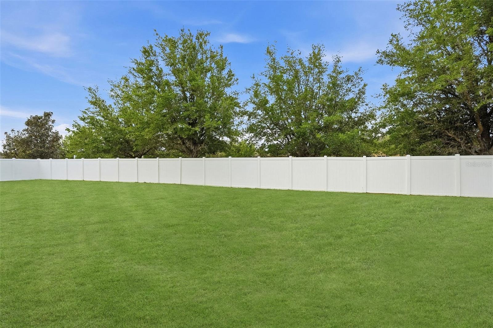 848 PETAL MIST LN, BROOKSVILLE, FL — photo 5