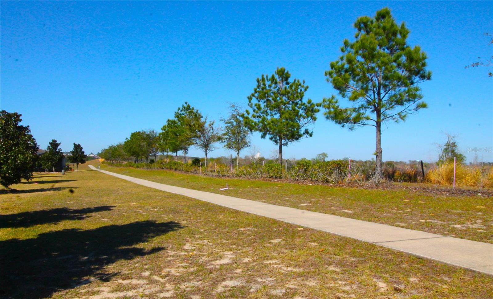 3752 QUAINT LN, CLERMONT, FL — photo 49