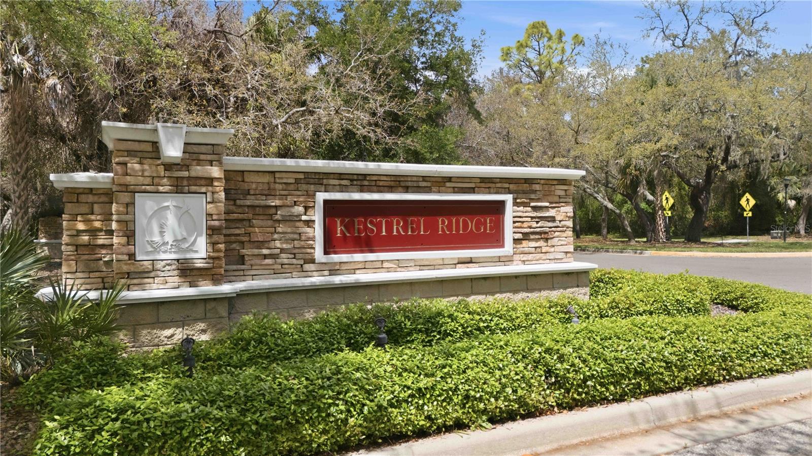 15108 KESTRELGLEN WAY, LITHIA, FL — photo 50