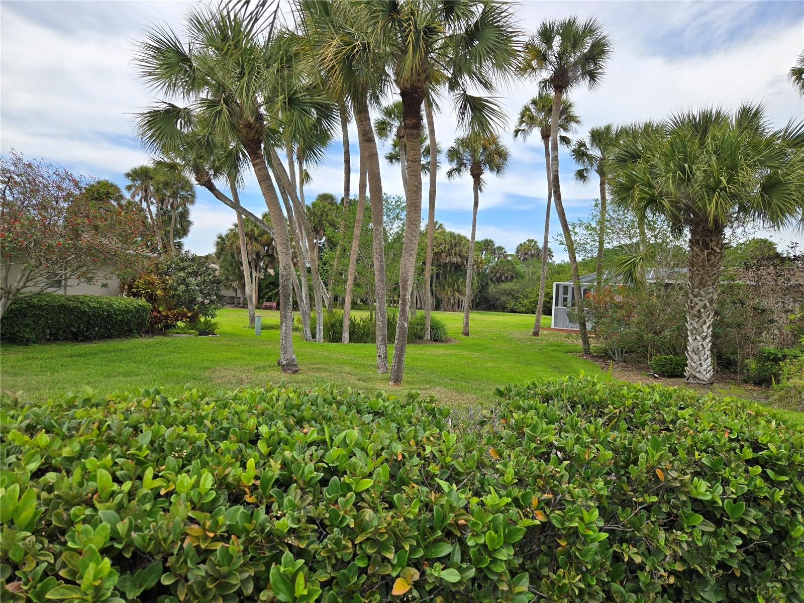 2974 CAPTIVA GARDENS DR #17, SARASOTA, FL — photo 16