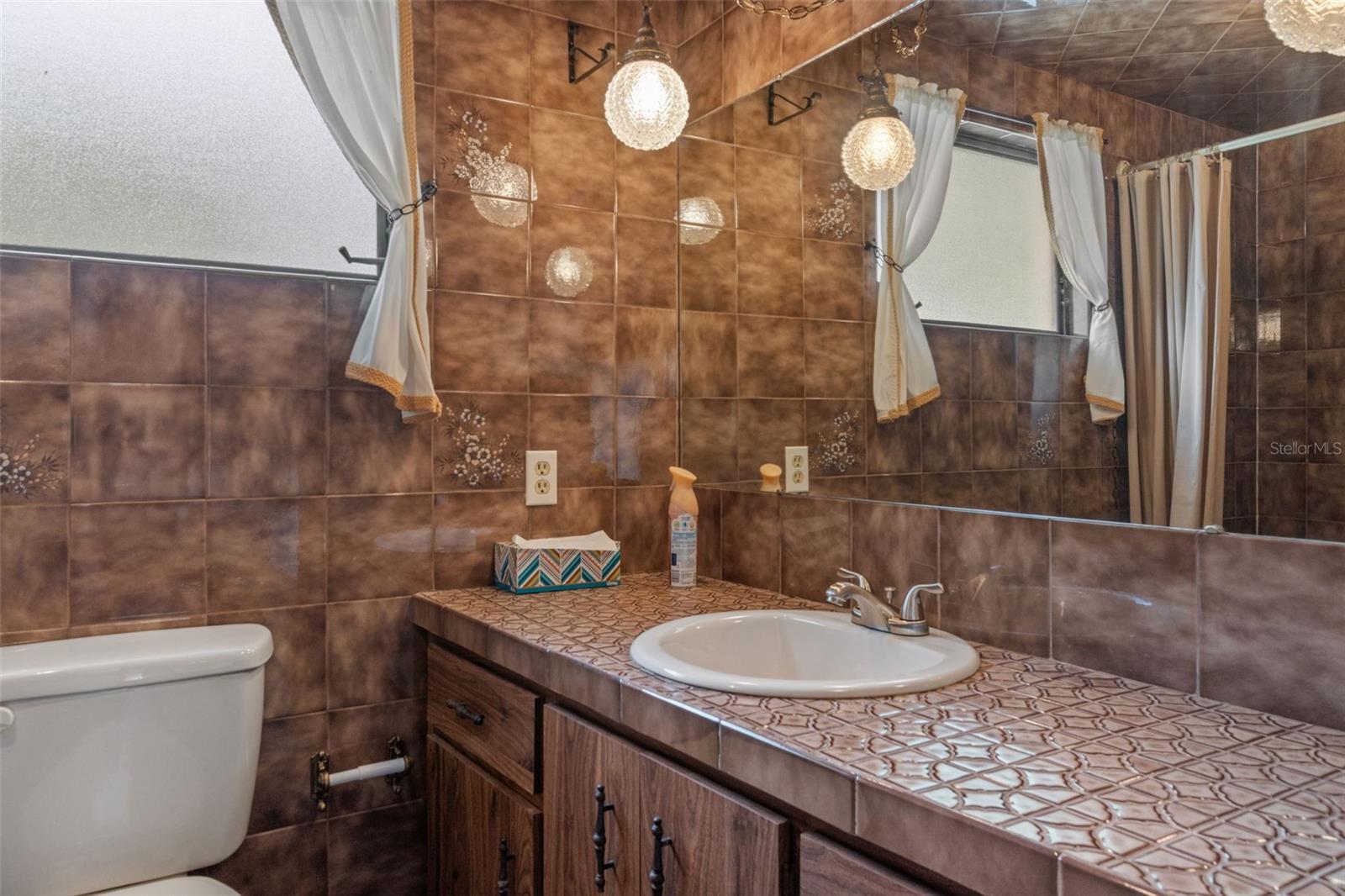 3217 ABELINE RD, SPRING HILL, FL — photo 40