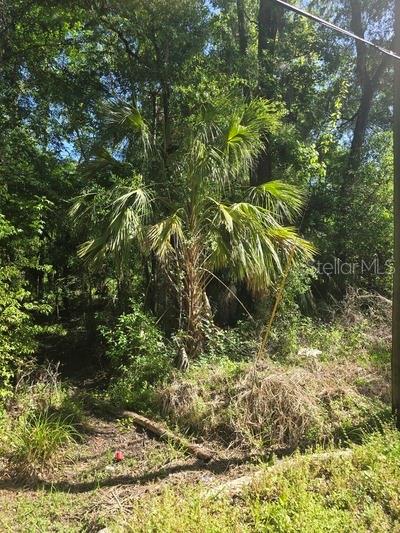 0 FORT DADE AVE, BROOKSVILLE, FL — photo 2