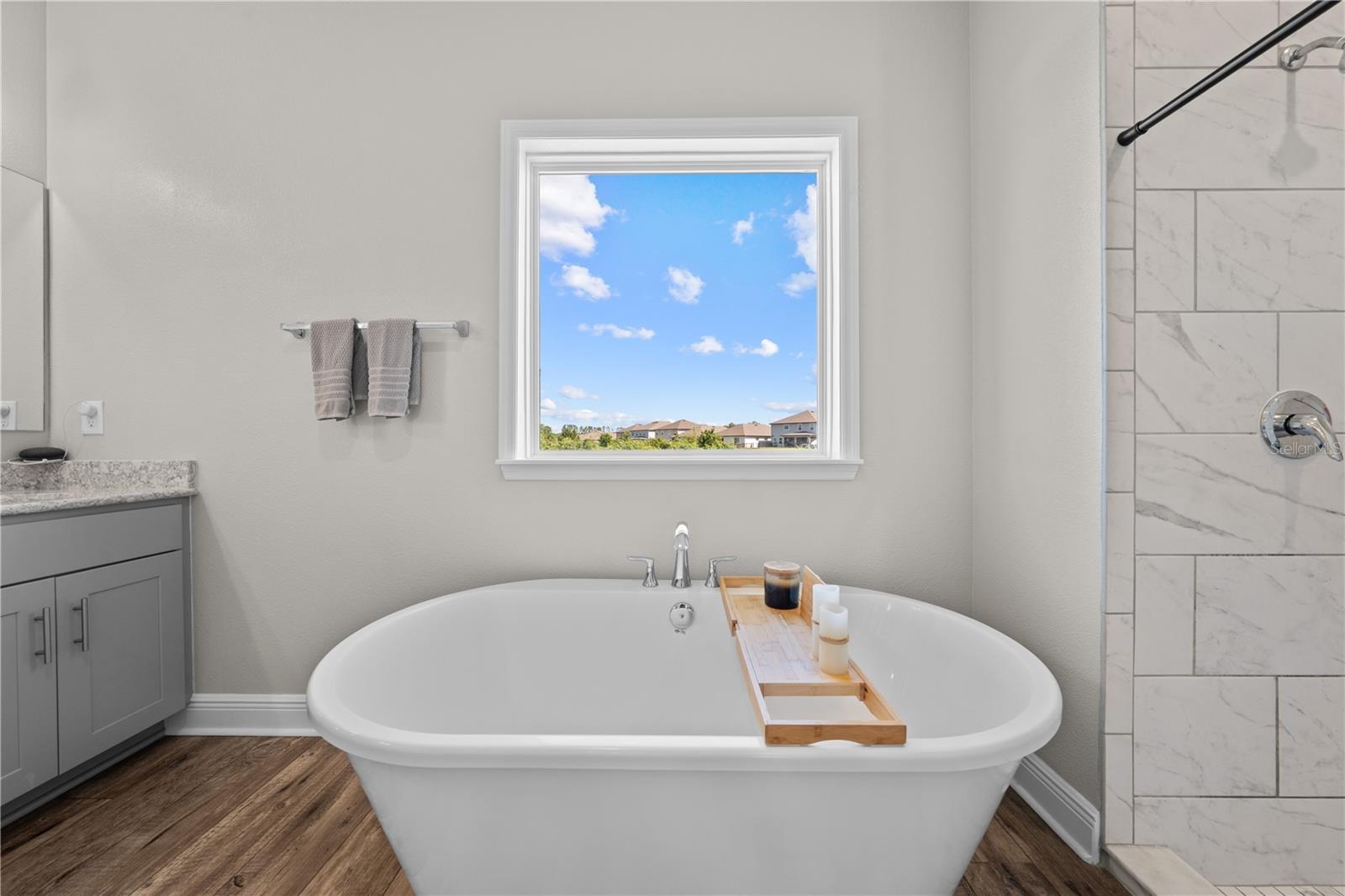 31041 JAZZ LEAF PL, SAN ANTONIO, FL — photo 35