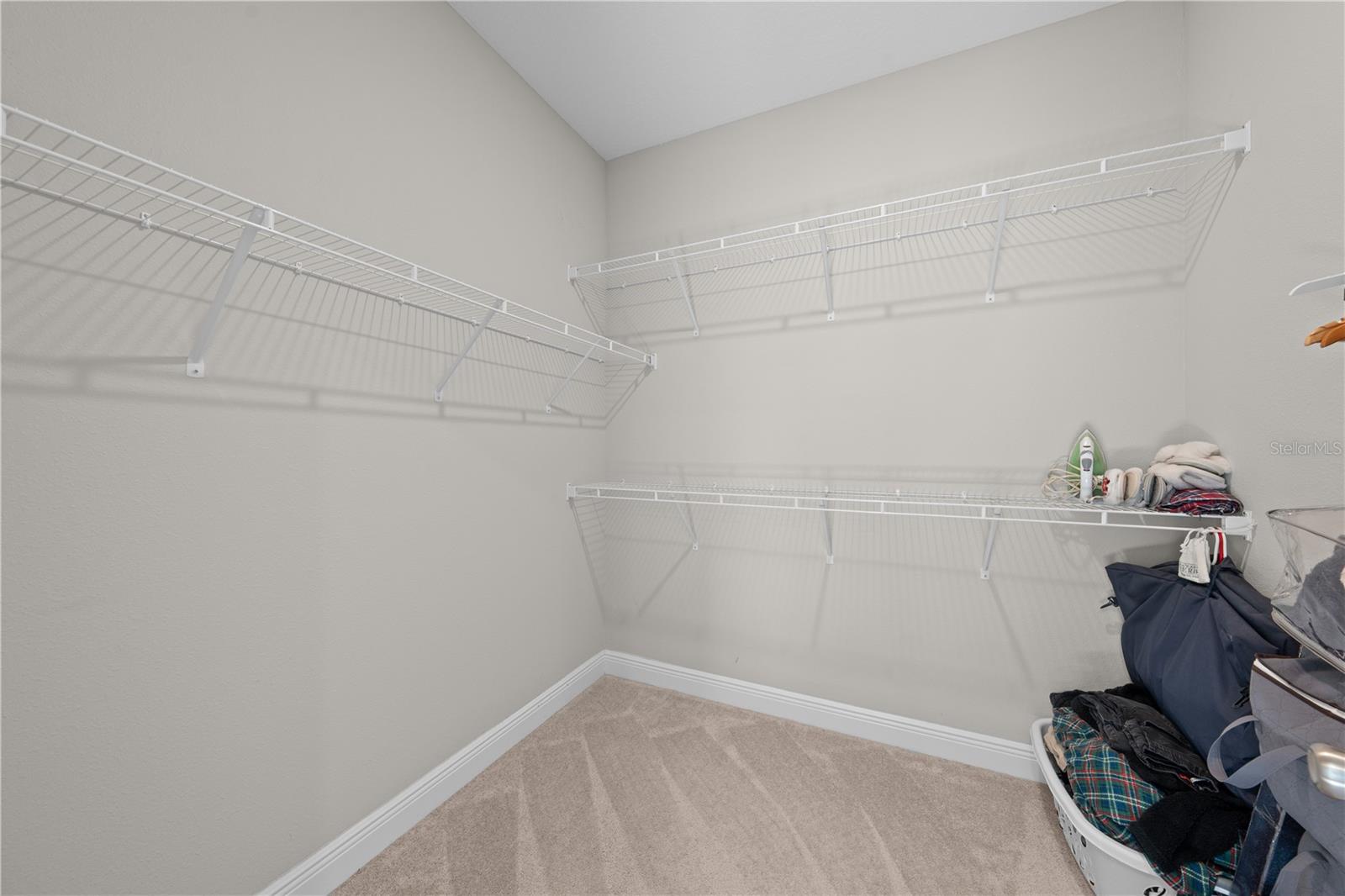 31041 JAZZ LEAF PL, SAN ANTONIO, FL — photo 39