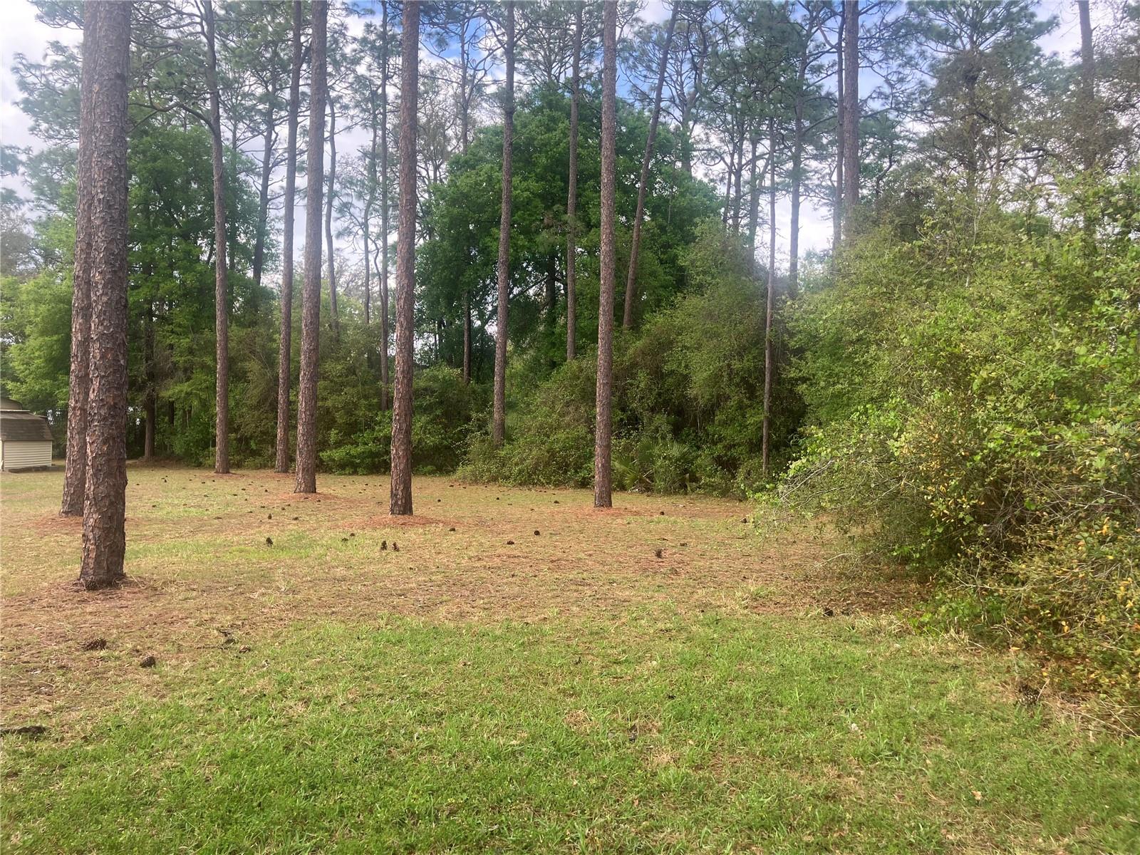 SE 19th Place SE 19TH PLACE, SILVER SPRINGS, FL — photo 2