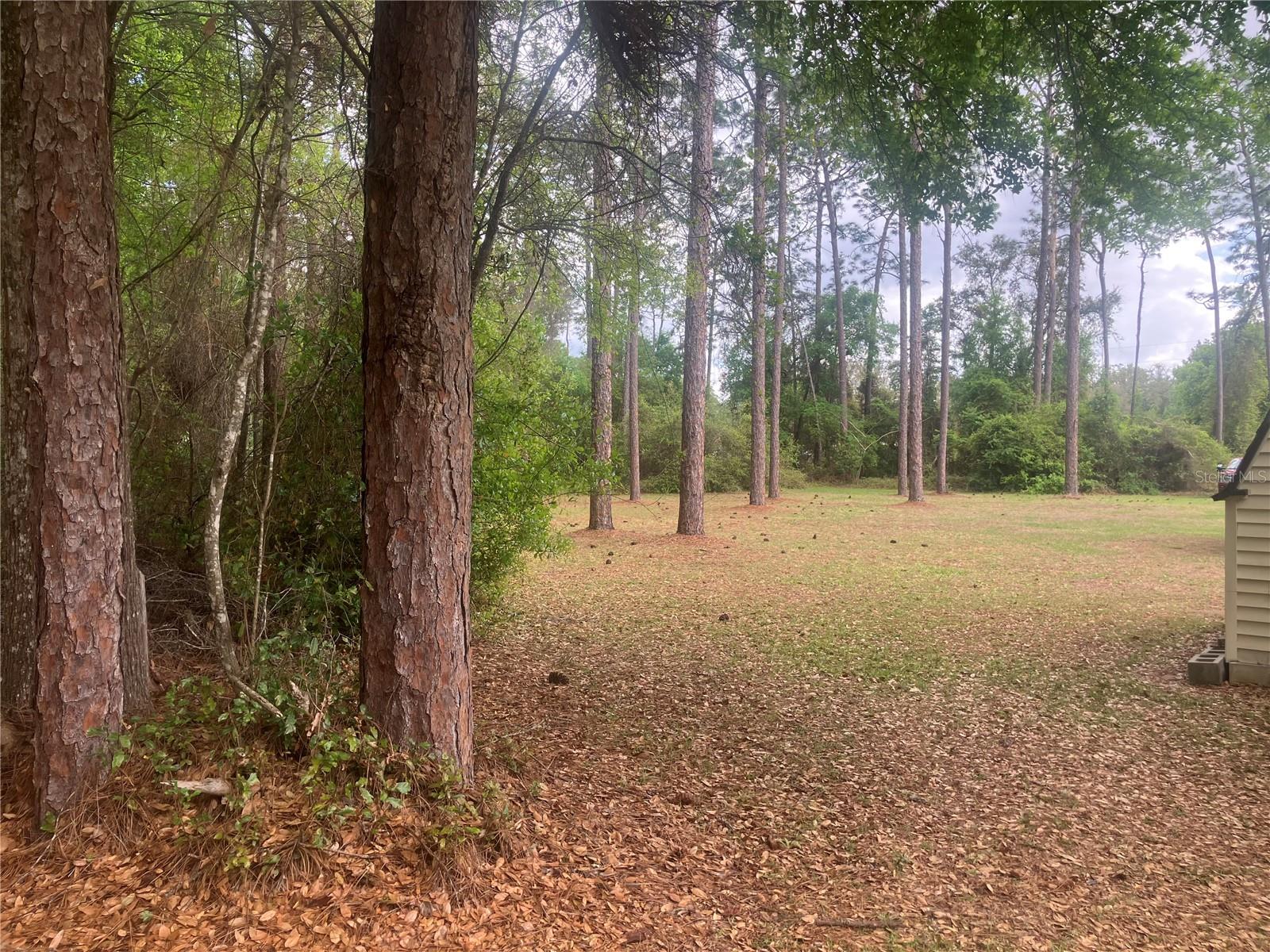 SE 19th Place SE 19TH PLACE, SILVER SPRINGS, FL — photo 3