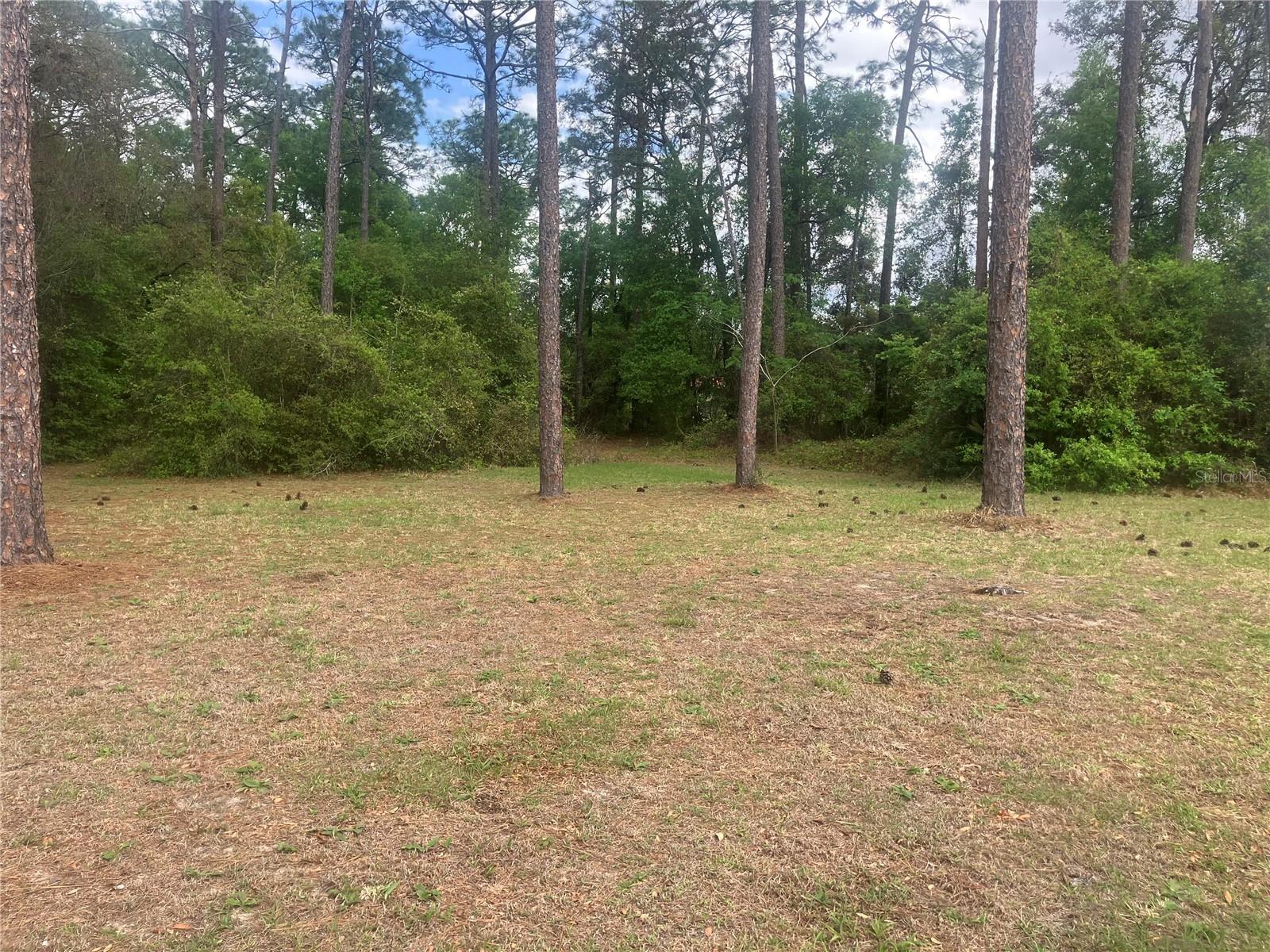 SE 19th Place SE 19TH PLACE, SILVER SPRINGS, FL — photo 4