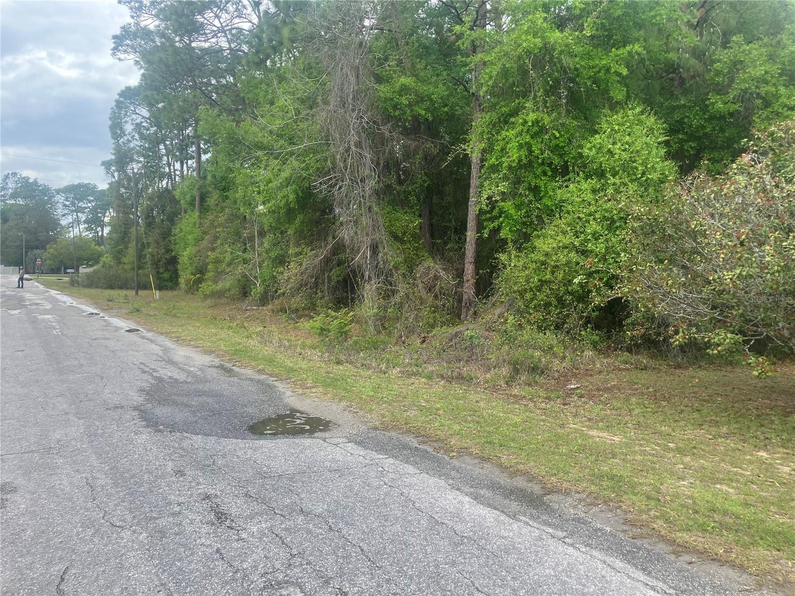 SE 19th Place SE 19TH PLACE, SILVER SPRINGS, FL — photo 8