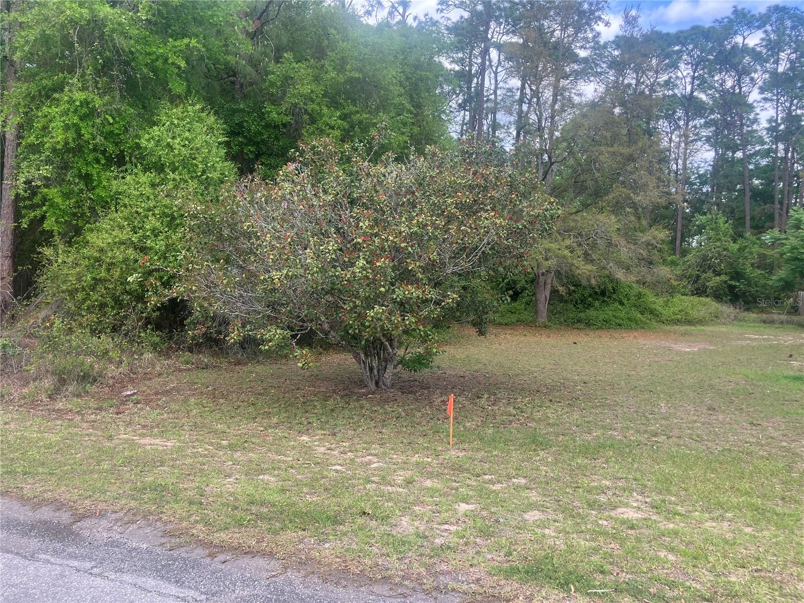 SE 19th Place SE 19TH PLACE, SILVER SPRINGS, FL — photo 9